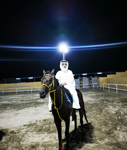 اسطبل فايكنج - جدة - +966 53 092 9474