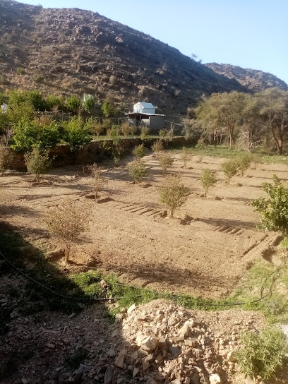 مزرعة ميامين - Saudi Arabia|Al Bahah 65712|King Abdulaziz Rd|HOMIM EXIT