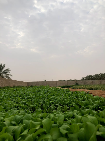 علي محمد العبيد - Saudi Arabia|Al Bukayriyah|Unnamed Road|5MPH+C2C