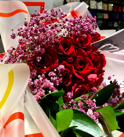 منطقة الحفلة - الدمام - +966 50 623 3111