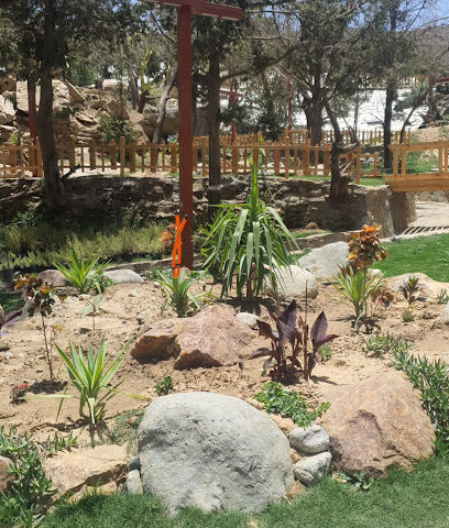 شلالات غابة رغدان - الباحة - +966 50 281 6454