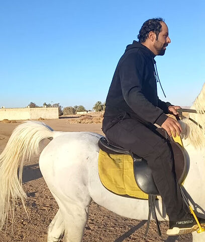 اسطبل البواسل للخيل العربية مربط البواسل للخيول - تبوك - +966 50 050 4082