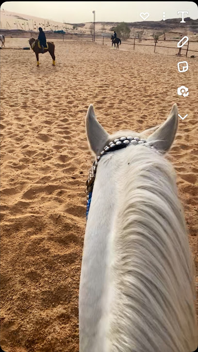 اسطبل العاصي بتبوك لتعليم الفروسية - Saudi Arabia|47737|47737،