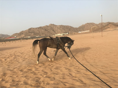 إسطبل عز العاديات - الجموم -