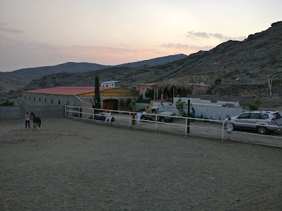 مربط الساعد للخيول العربية - الهدا -