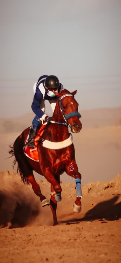 اسطبل الكايد - Saudi Arabia|Tabuk 47737|9CP9+PV