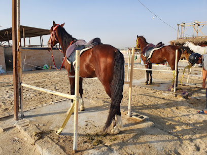 إسطبل القويفل - الظهران - +966 53 664 1196
