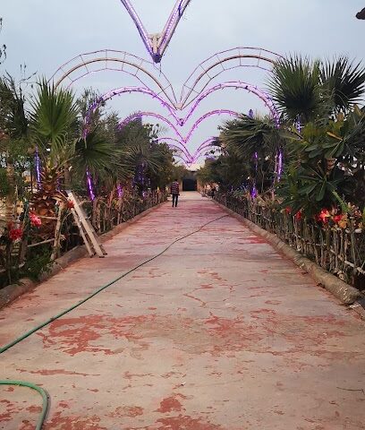 اس ماجيك اس مجك لتأهيل بالفروسية - صفوى - +966 56 025 0580