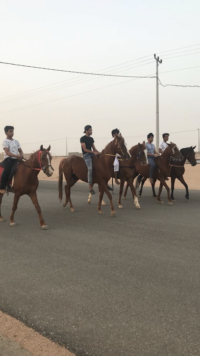 اسطبل الشفاء - Saudi Arabia|Ar Rass 54641|طريق الملك فهد