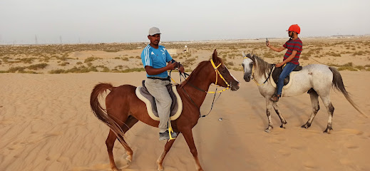 اسطبل الاسلمي - الظهران - +966 55 266 9782