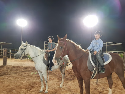 أكعام الخيول العربية - الرياض -