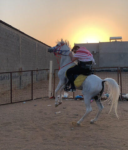 إسطبلات الفرسان لرعاية الخيول - جدة - +966 12 619 6421