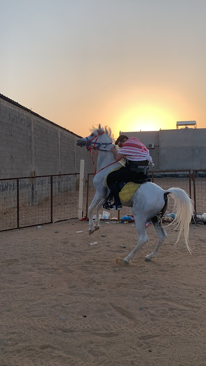 إسطبلات الفرسان لرعاية الخيول - Jeddah 23345