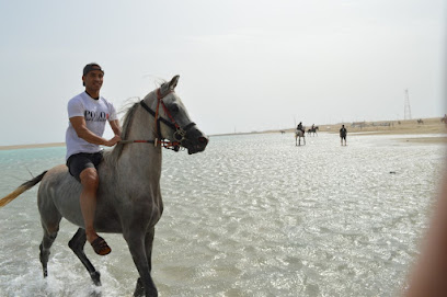 مربط الجواد الادهم - حده - +966 54 004 9967