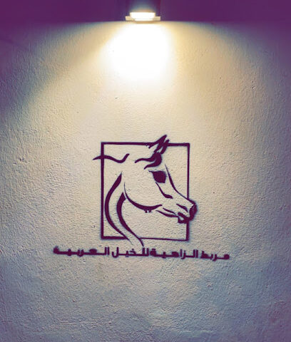 اسطبل الزاهية للخيول العربية - بريدة - +966 54 621 1044
