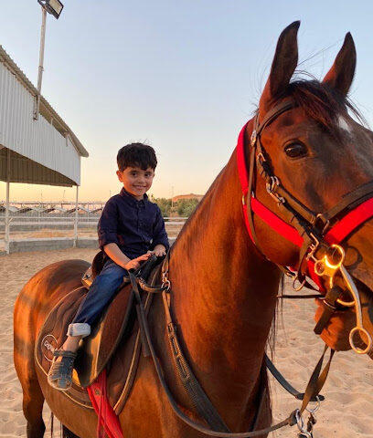 ALMEJLAD STUD - مربط المجلاد للخيل العربية الأصيلة - مزرعة الشريعة - +966 59 061 7677
