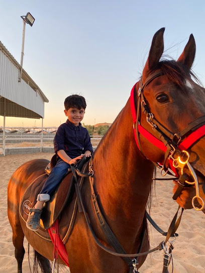 ALMEJLAD STUD - مربط المجلاد للخيل العربية الأصيلة - Saudi Arabia|72213|Al Shaaria farm