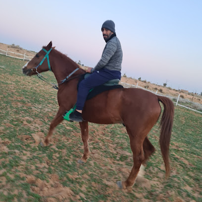 مربط الانصار - بريدة -
