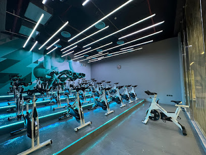 XFit للياقة البدنية - بريدة - +966 59 493 6573