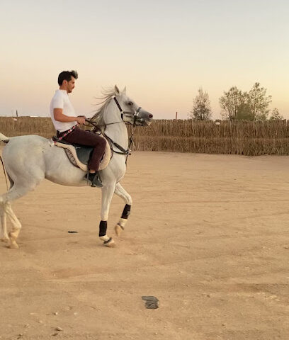 مربط الجبلين -  -