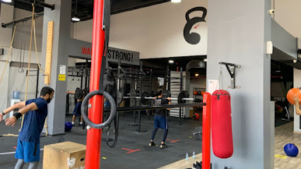 الصقور كروسفت - فالكونز كروسفت - الدمام - +966 50 700 3139