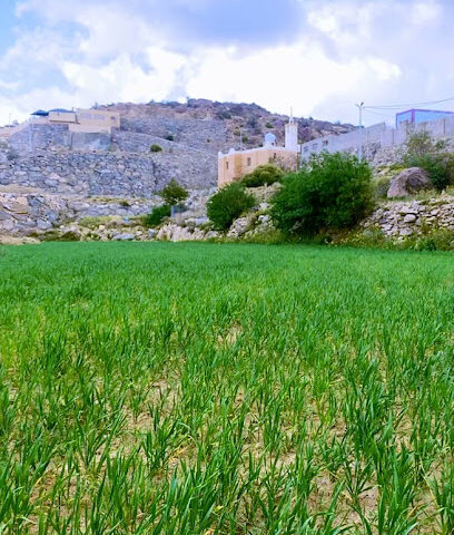 إستراحة خالد بن رفيع - النماص -
