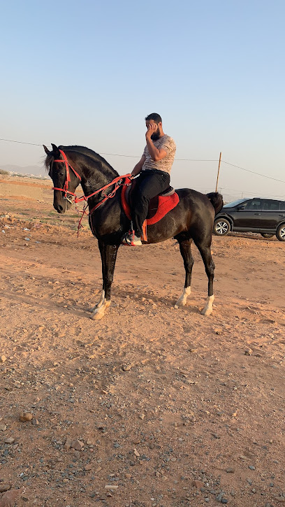 إسطبل العساف للخيل العربية - Saudi Arabia|Al Jumum 23145|Unnamed Road