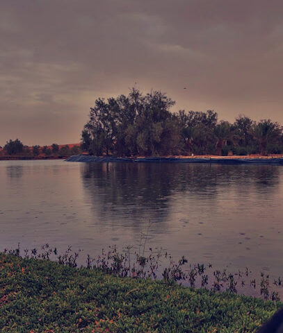 مربط ع ج العز العز مستقر - بريدة - +966 55 088 0044