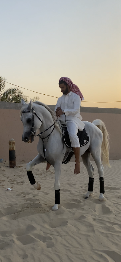 مربط و اسطبلات الصويتية - Saudi Arabia|Nairyah 37474|ميدان الهجن