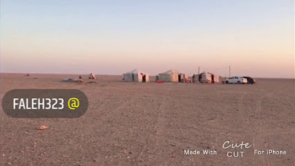 MF للباركيه وورق الجدران - حفر الباطن -