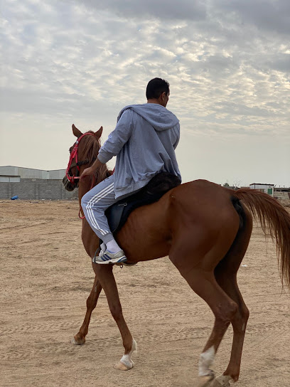 Yellow Stable - مربط الأصفر للخيل العربية الأصيلة - Saudi Arabia|Jeddah 22524|As Sarawat|Al Khumrah