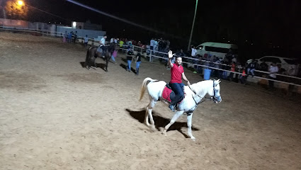 إسطبل الصافنات - العقدة - +966 54 698 8839