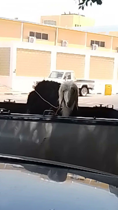 سوق الاربعاء في البكيرية - Saudi Arabia|Al Bukayriyah 52735|Al Zahrah|4MM6+J2H