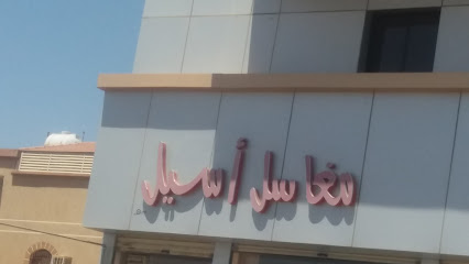 مغاسل أسيل - تبوك - +966 53 282 8107