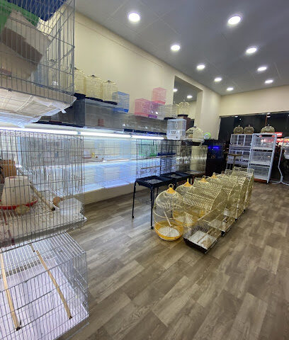 العامريه للطيور واسماك الزينه - نجران - +966 55 572 9889