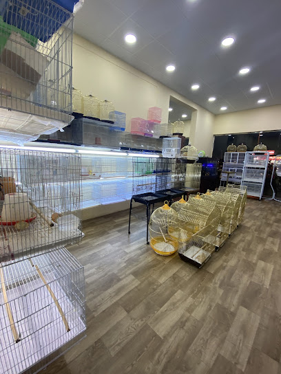 العامريه للطيور واسماك الزينه - Saudi Arabia|Najran 66241|King Abdullah Rd