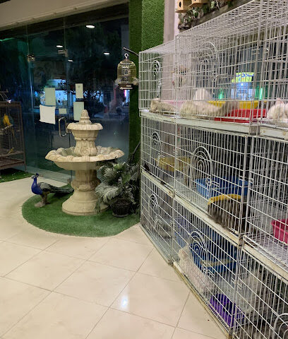 طبيعة الحياة للحيونات الاليفة - بريدة - +966 55 384 4156