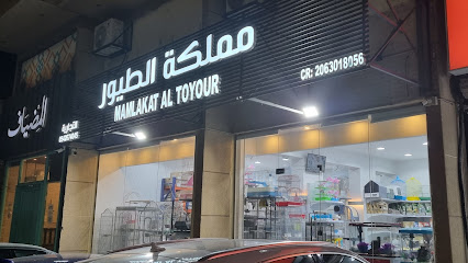 مؤسسة مملكة الطيور التجاريه - صفوى - +966 54 267 4045
