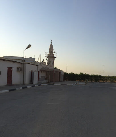 مسجد ضية قلبي - صفوى -