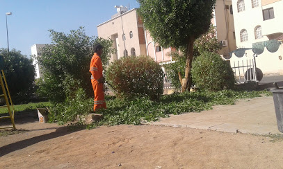 أضواء الحديقة - المدينة المنورة -