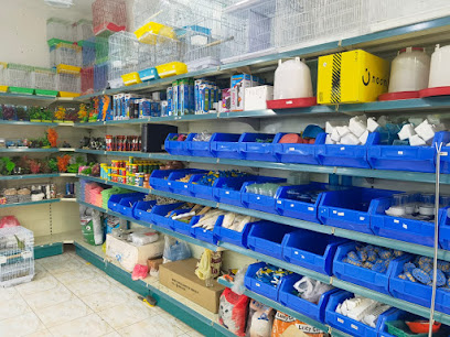 الطائر الرمادي | غراي بيرد - القطيف - +966 54 308 4211