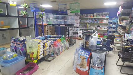 ابداع الطبيعة للحيوانات الاليفه والطيور - الدمام - +966 54 399 8984