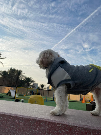 Pawsers رعاية الحيوانات الأليفة - Saudi Arabia|Al Khobar 34424|3705 عمرو بن مره، 9177|Al Yarmouk