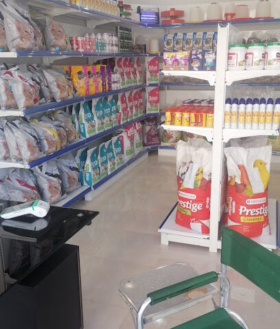اسماء للطيور والقطط - ينبع - +966 54 790 5572