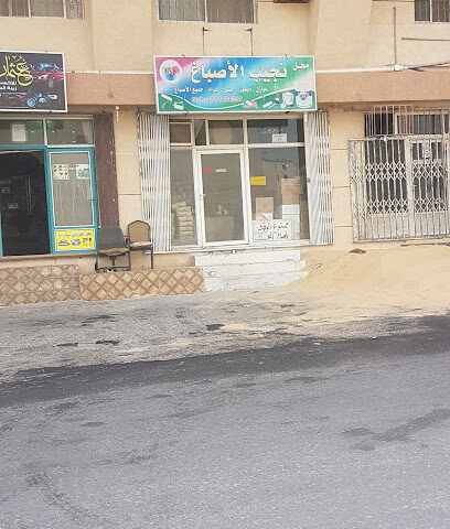 محل نجيب الأصباغ - صفوى -