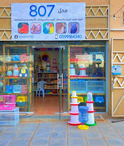 مودي بيردز لطيور الزينة والحيونات الاليفه - بريدة - +966 59 918 4340
