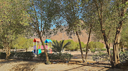 Loop garden - Al Madinah Al Munawwarah -