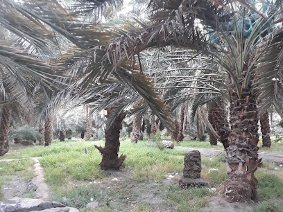 Garden of Healing Sand - Al Madinah Al Munawwarah -