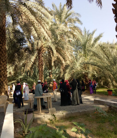 Al-Radadi Farms & Cold Stores (Date Garden) - Al Madinah Al Munawwarah - +966 59 379 0433