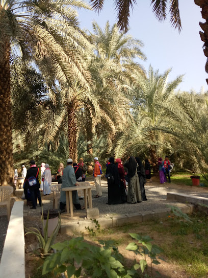 Al-Radadi Farms & Cold Stores (Date Garden) - Saudi Arabia|Al Madinah Al Munawwarah 42321|Sayyid al-Shuhada|FJW3+J73